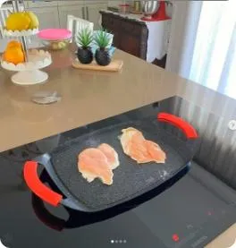 placa grelhador wondergrill