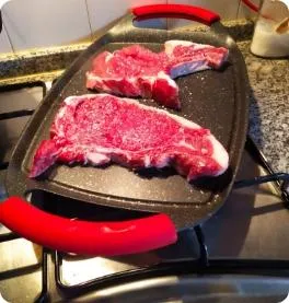 placa grelhador wondergrill