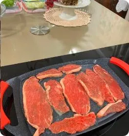 placa grelhador wondergrill