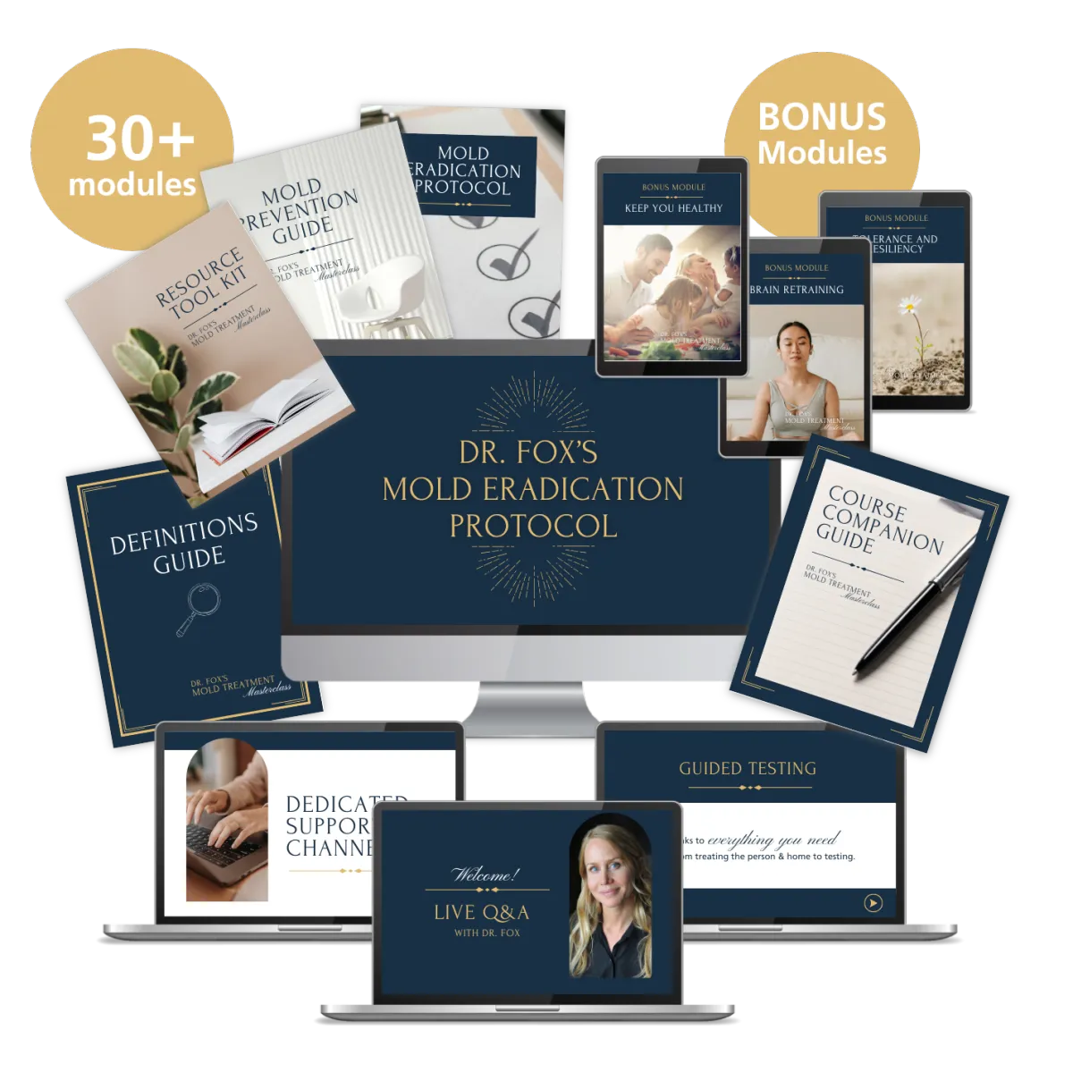 Dr. Fox Mold Eradication Protocol Value Stack