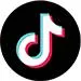 Tiktok, Judicious