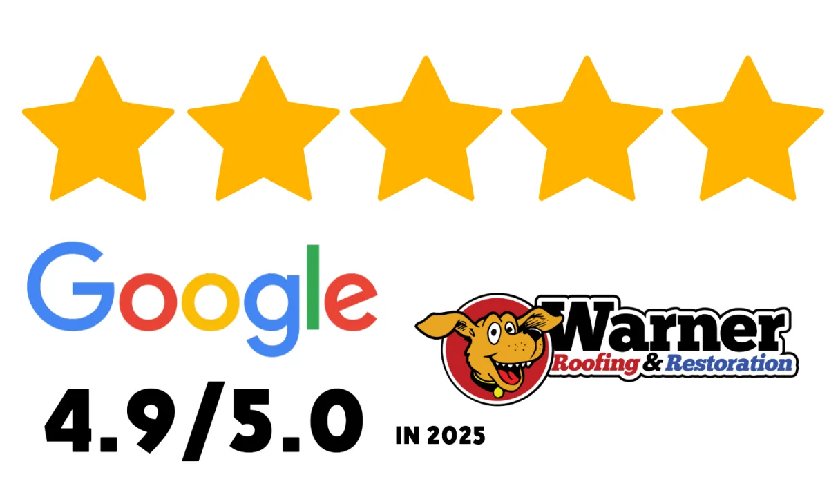 4.9 Stars in 2025