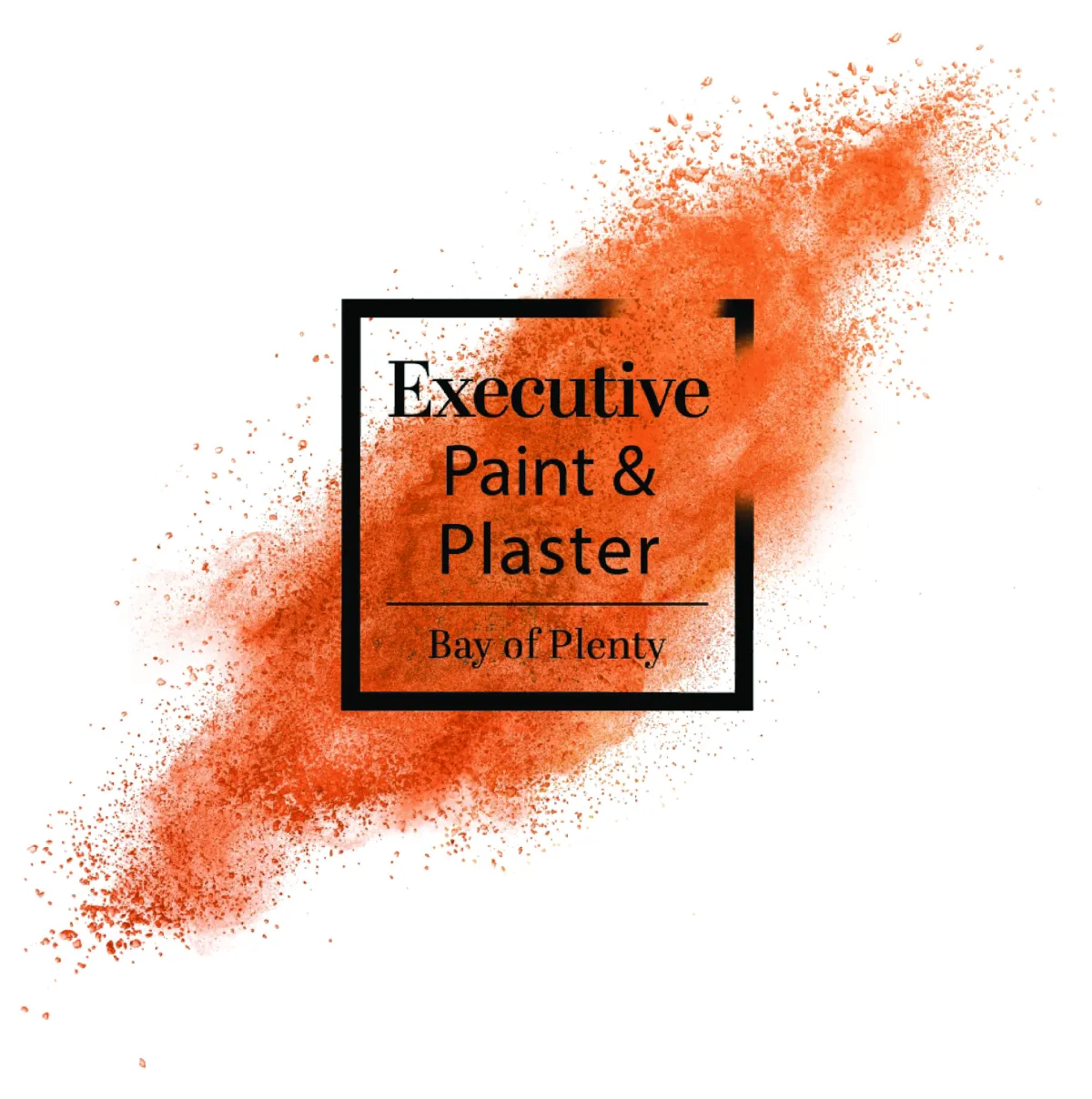 Executive Paint and Plaster Ltd logo