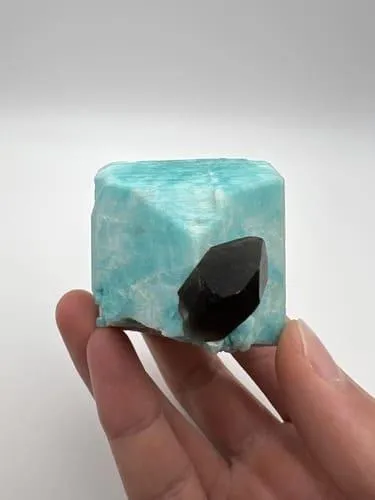 Secure Packaging & Shipping 6275 Joyce Dr, Arvada CO