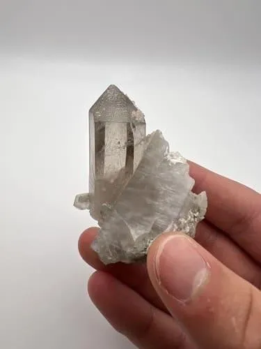 Online Sales via Instagram 6275 Joyce Dr, Arvada CO