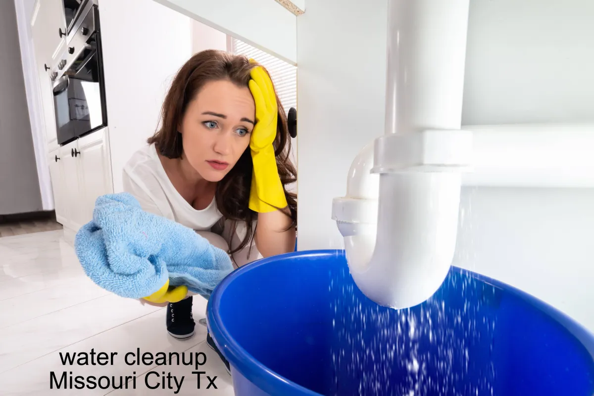 water cleanup Missouri City