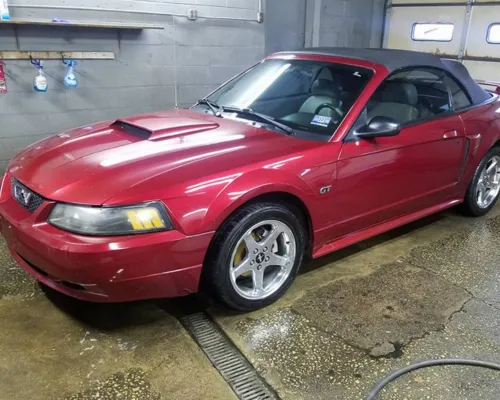 Paint Correction & Restoration Philadelphia