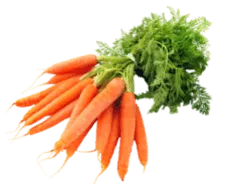  Carrots Carrot