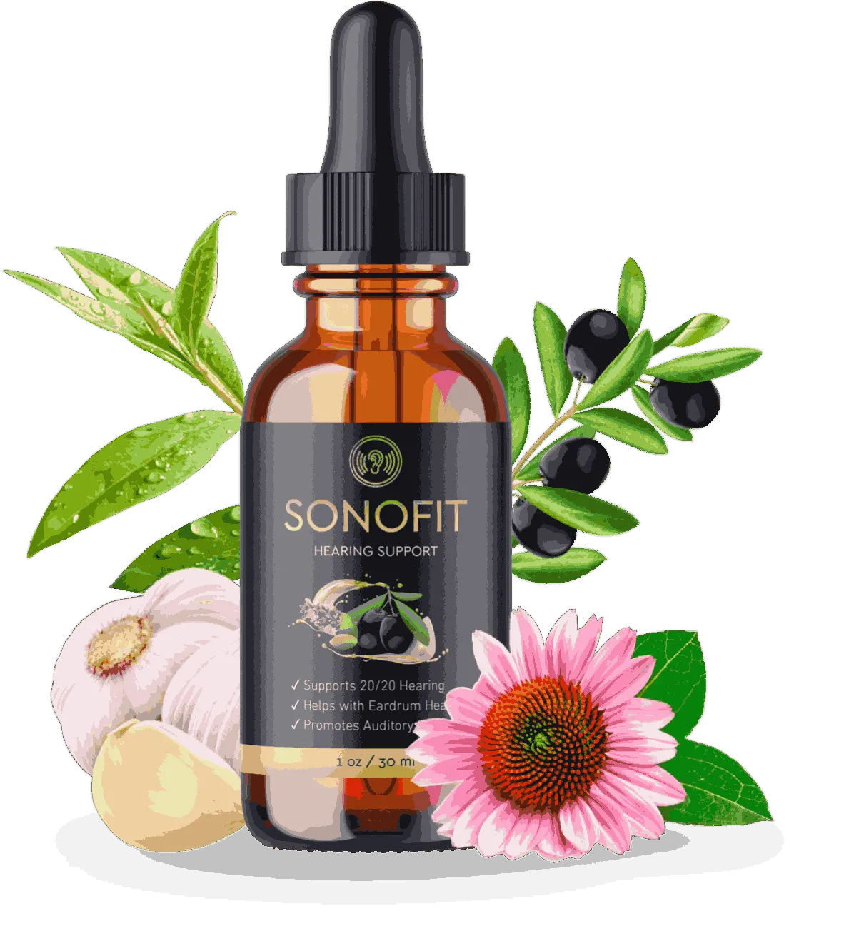 1bottles-bestvalue-SonoFit