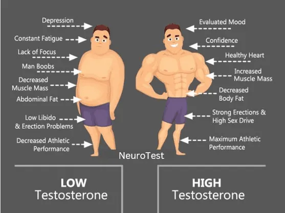 neurotest-testosterone