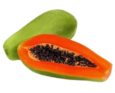  Papaya