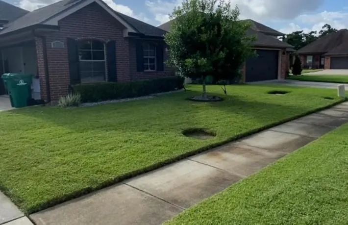 Backyard in Avondale LA with evenly cut grass and neat stripes