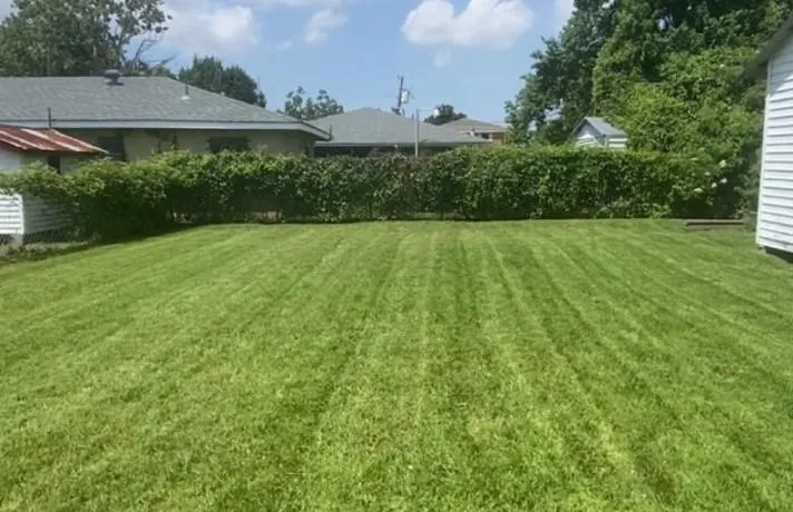 Front yard in Avondale LA with trimmed hedges, small trees, and fresh mow lines