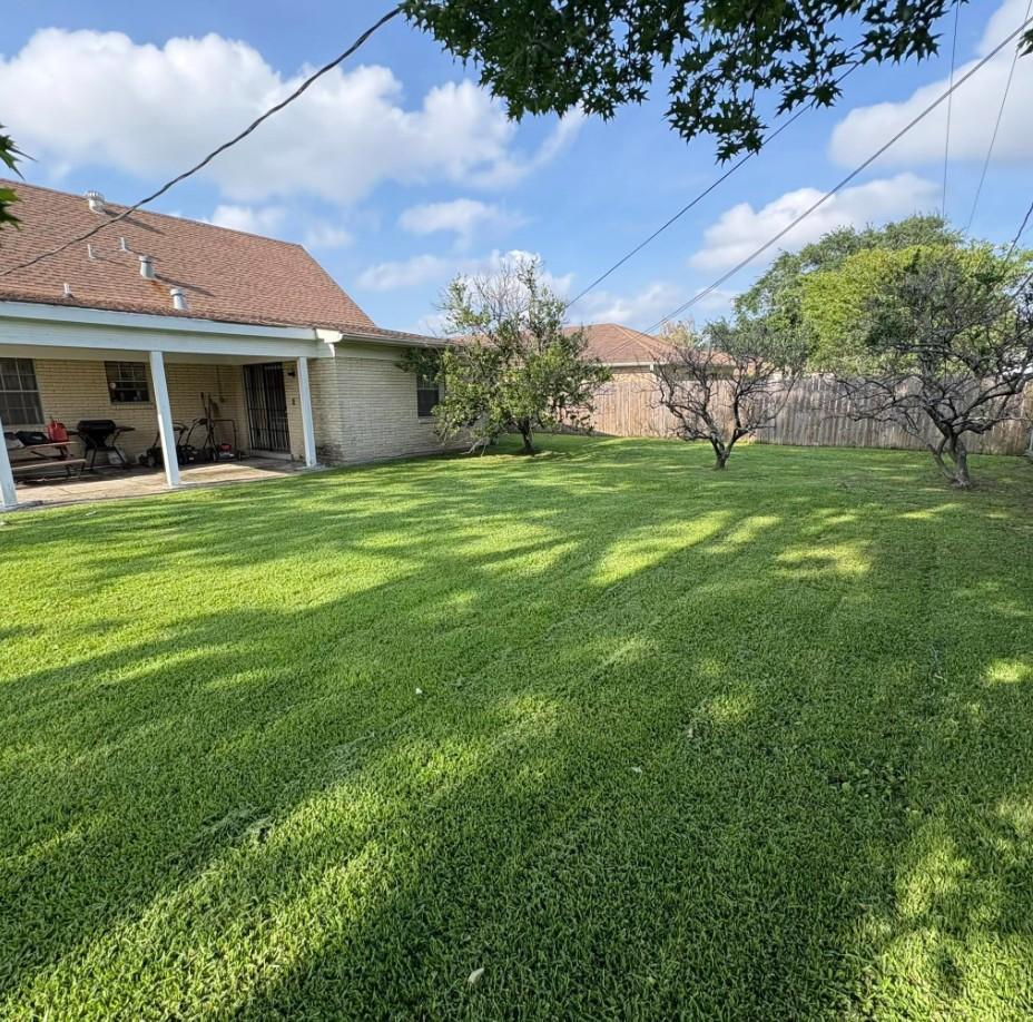 Backyard in Avondale LA featuring small shade trees and freshly cut grass