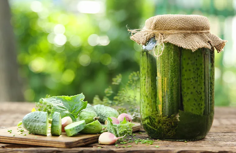 FERMENTATION-A WAY TO A HEALTHY GUT