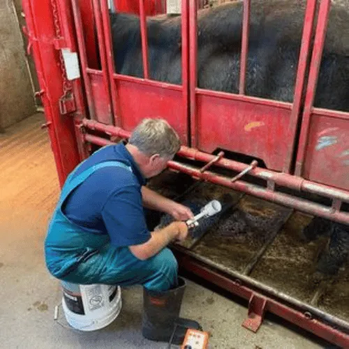 Rolling Hills Veterinary Service