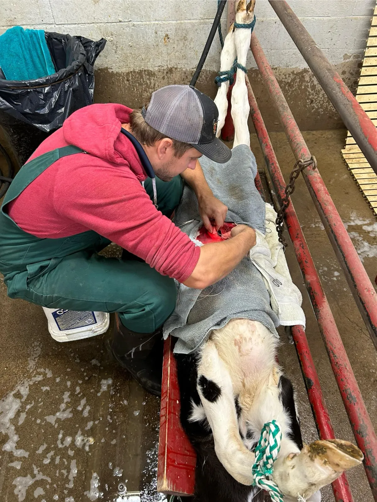 Rolling Hills Veterinary Service