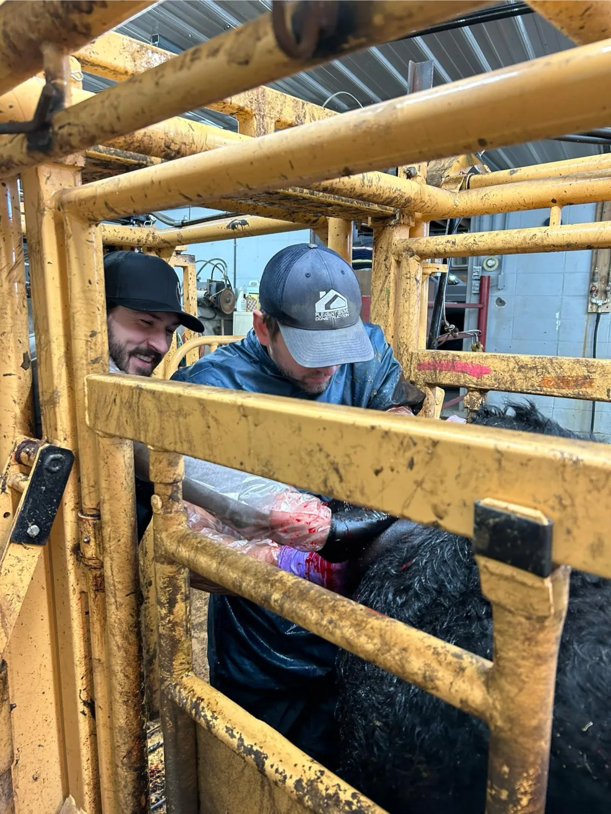 Rolling Hills Veterinary Service