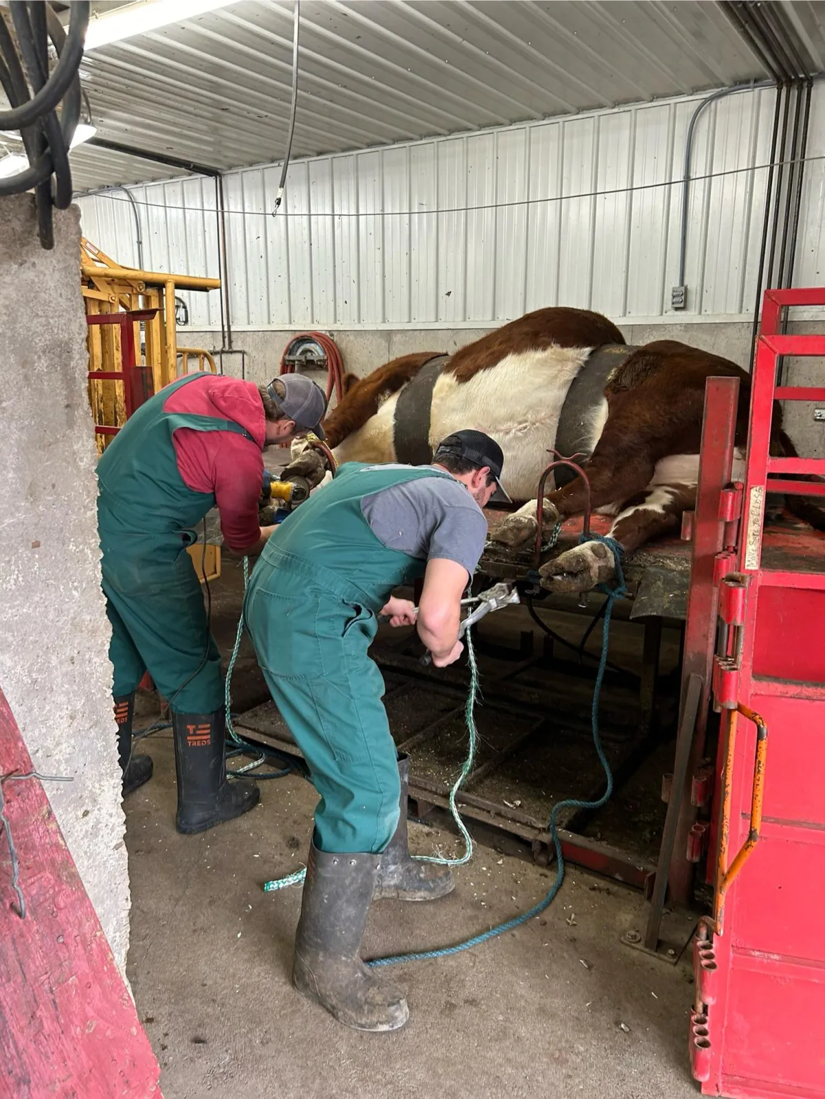 Rolling Hills Veterinary Service