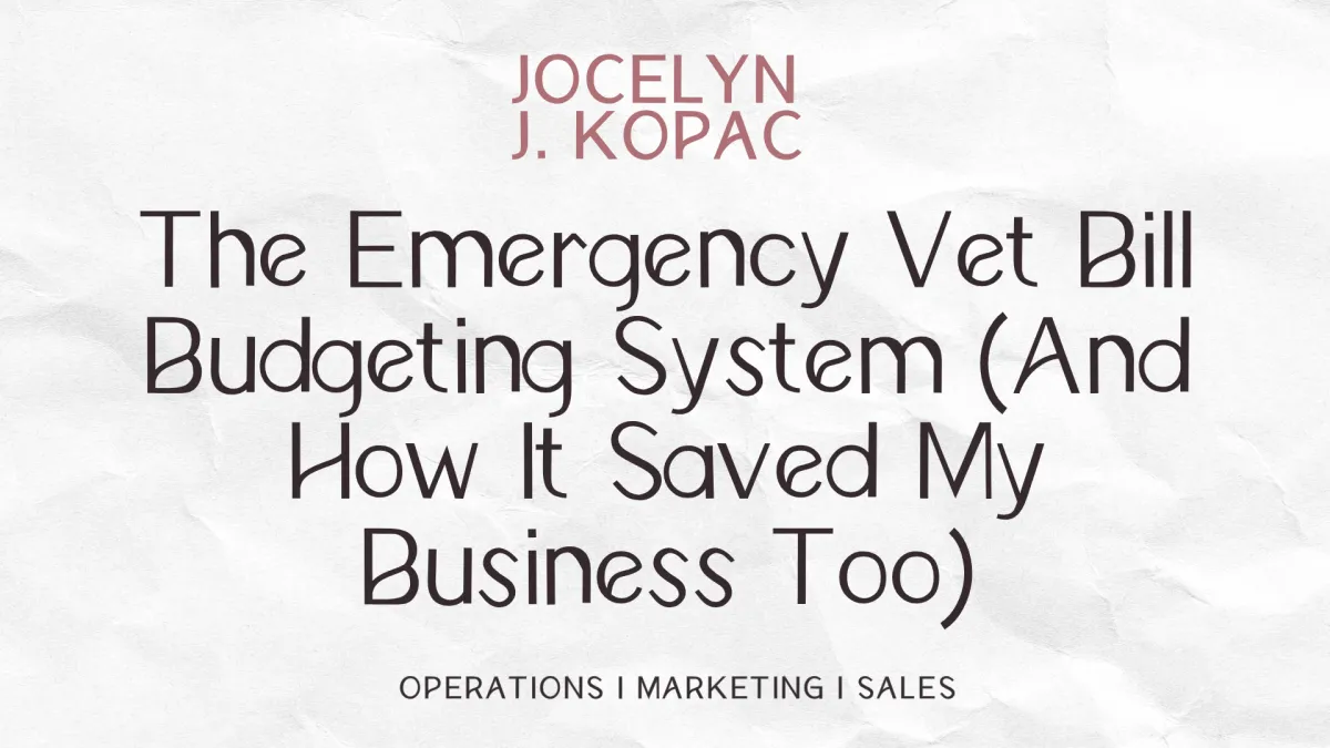 The Emergency Vet Bill Budgeting System 