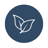 Leaf icon representing growth and renewal