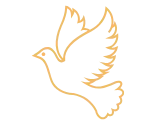Dove icon representing peace and hope