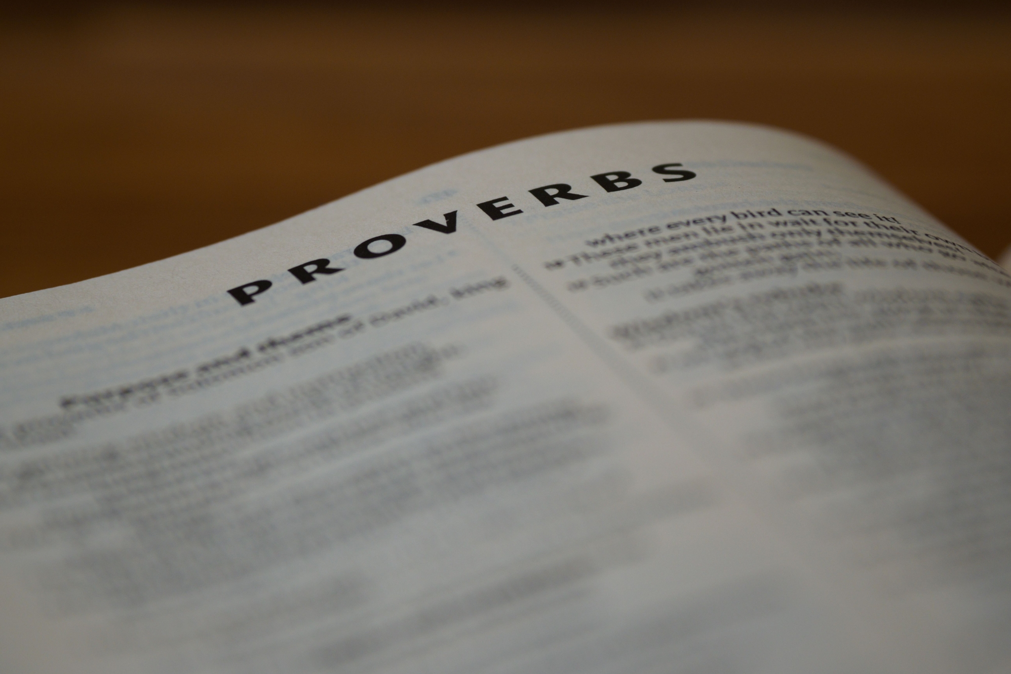 Open Bible showing the Book of Proverbs