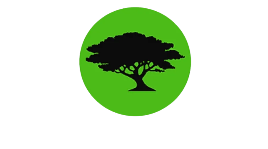 Jesse's Landscaping - 