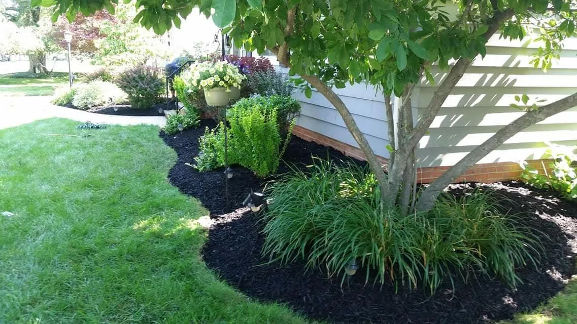 Mulch Installation