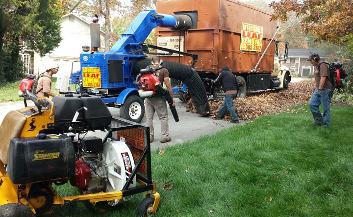 Leaf Removal