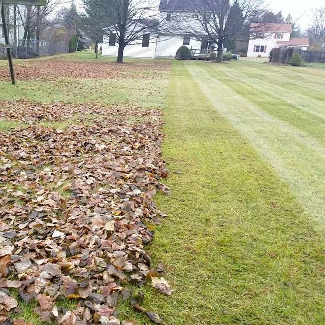 Mulch Installation