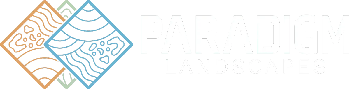 Paradigm Landscapes