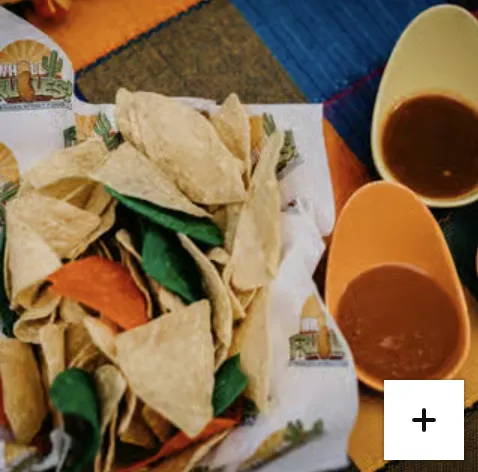 House Salsa & Chips