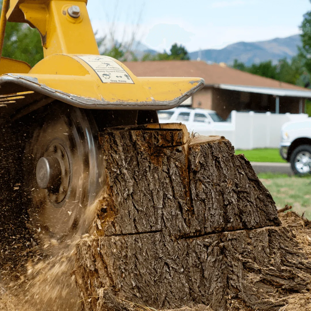 Stump Ginding