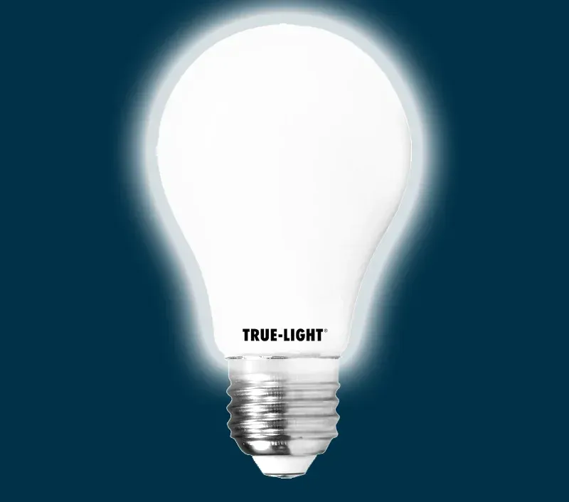 Lampadina True-Light 8W