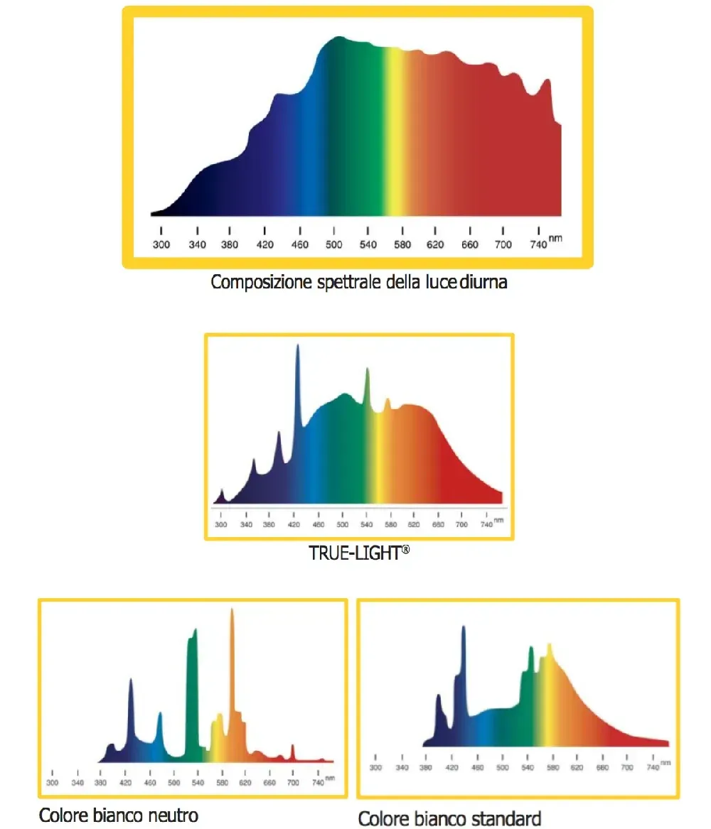 Spettro della luce True-Light