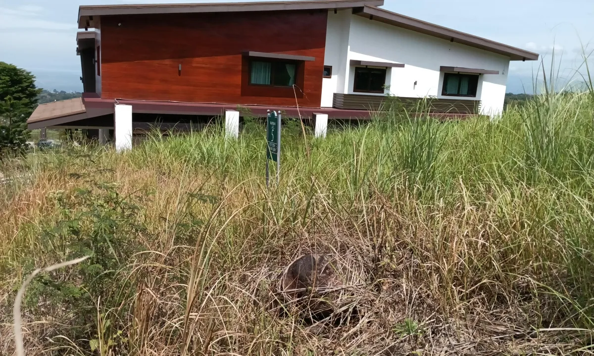Alegria Hills, Indahag, CDO