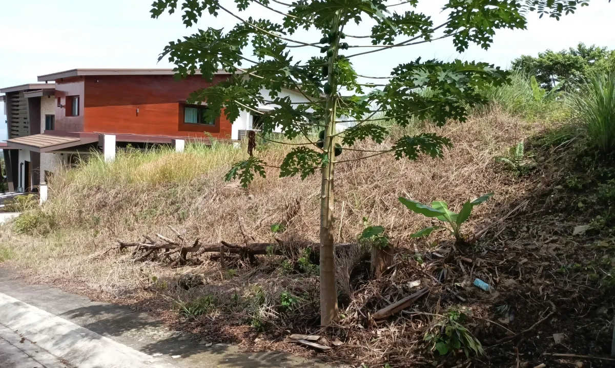 Alegria Hills, Indahag, CDO