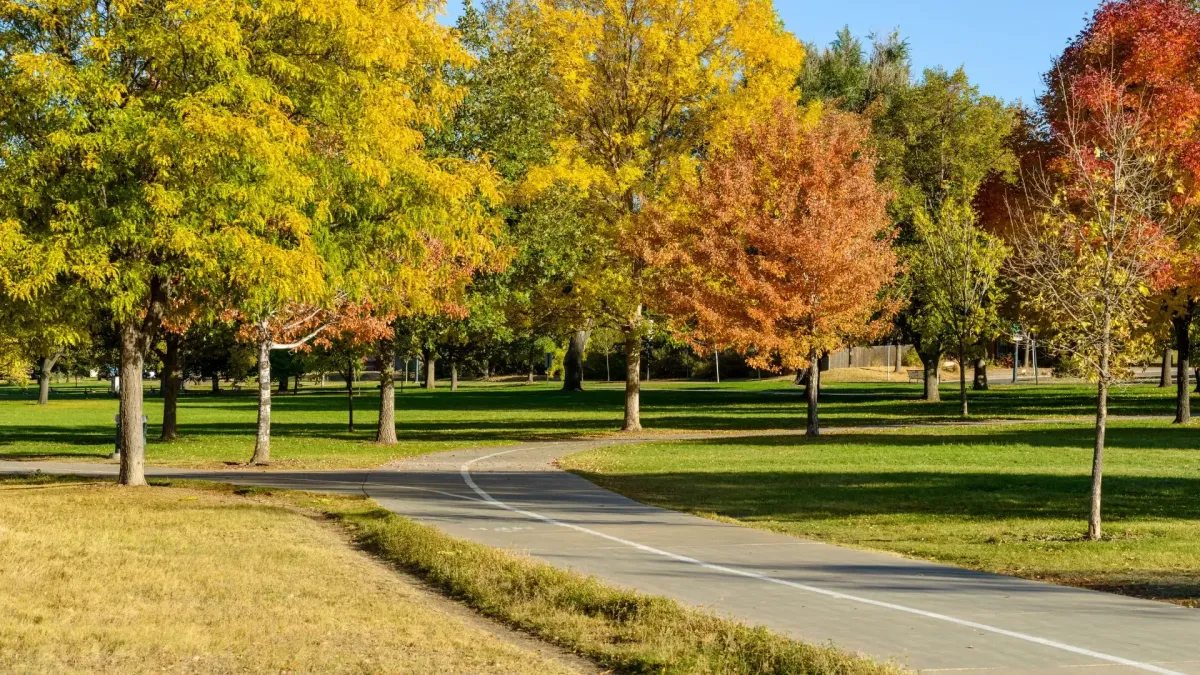 Chiropractic Care in Centerville OH near Iron Horse Park