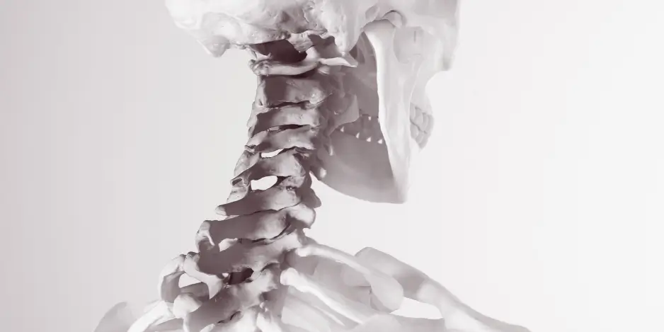 Illustration of cervical nerve roots extending from the neck toward the shoulder and arm.
