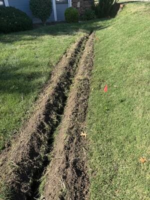 {{ custom_values.service_1 }} in {{custom_values.area_4})