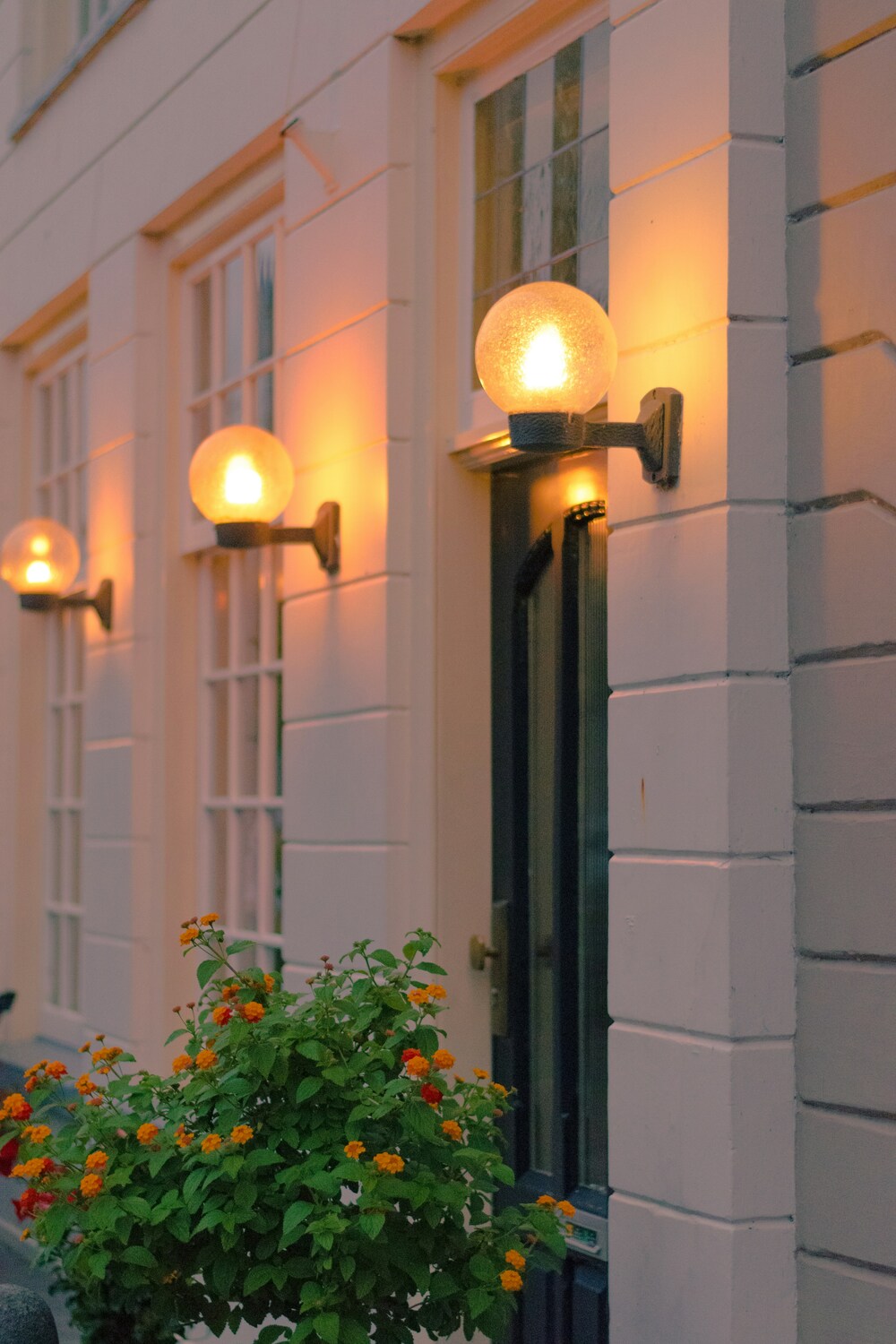 Outdoor Lights in Downers Grove