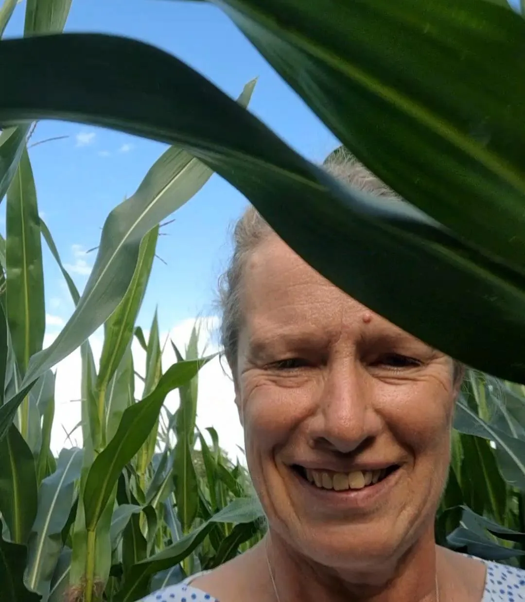 The Cornfield Lesson