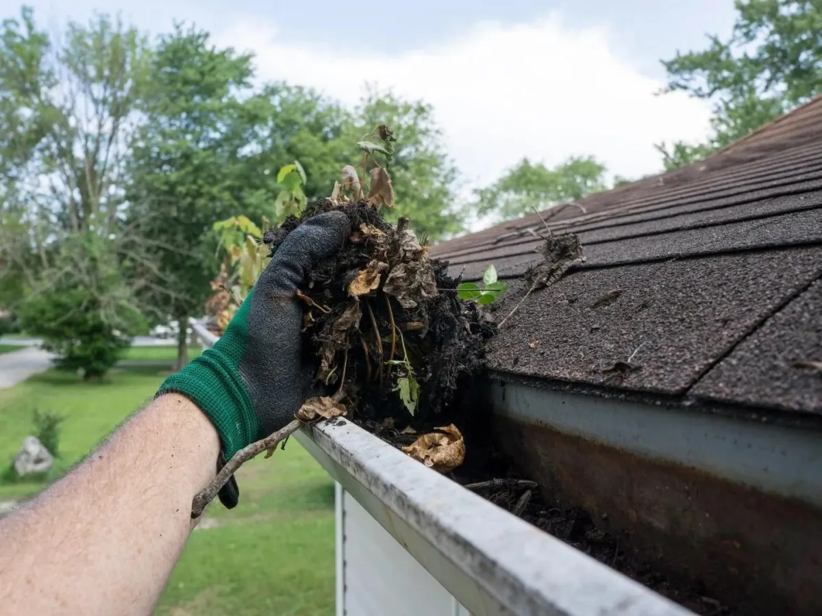 Gutter cleaning Lorain OH