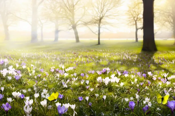 Renewal, Fresh Ideas, and Moving Forward