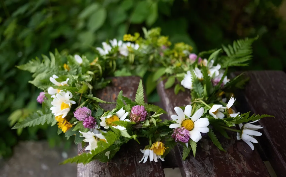 The Energy of May: Growth Through Connection