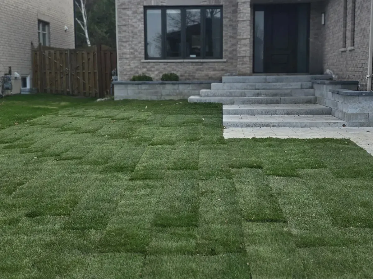 Combined sod installation and stone entrance renovation in Barrie