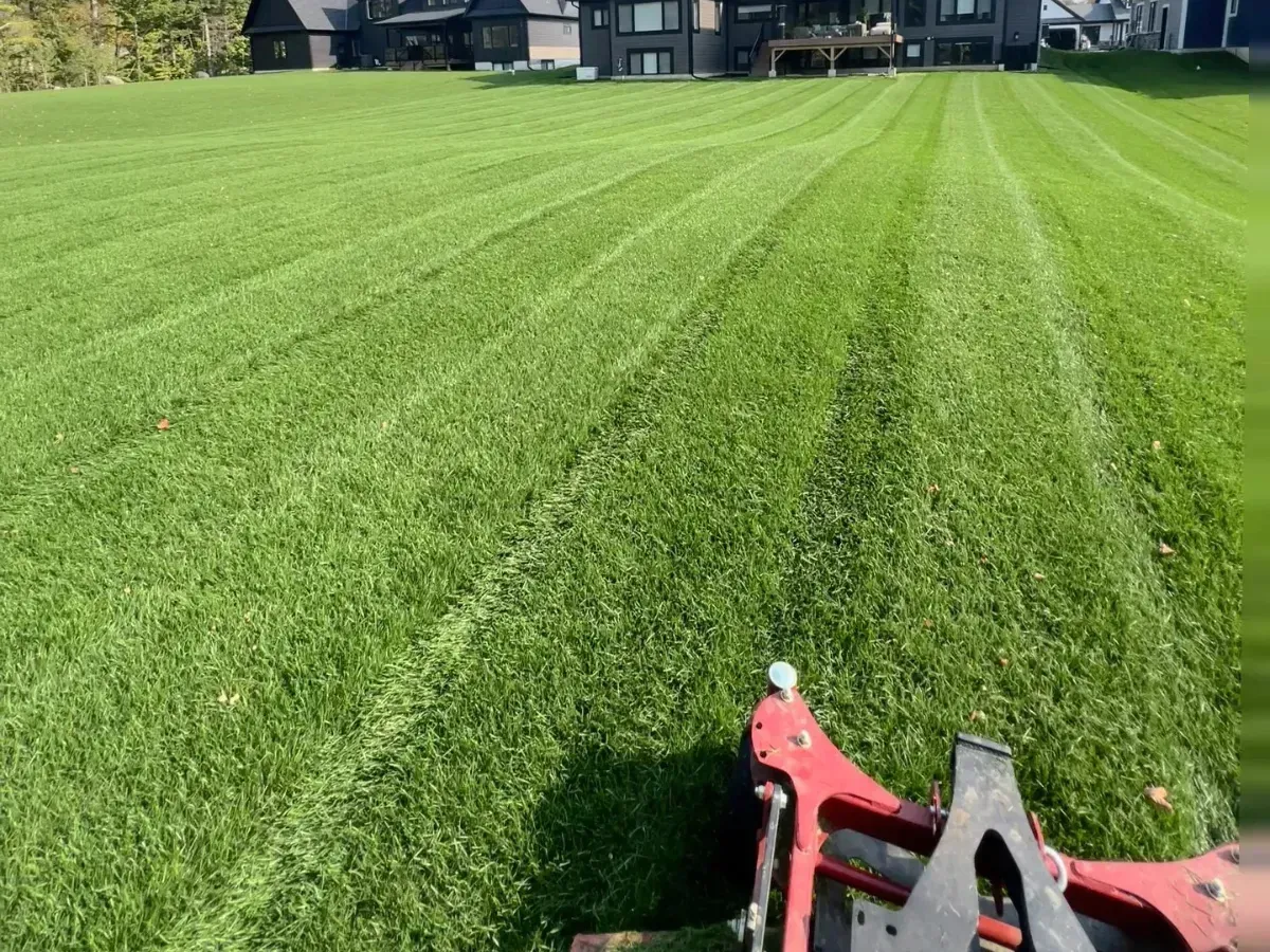 Clean finished lawn and softscape upgrade in Barrie