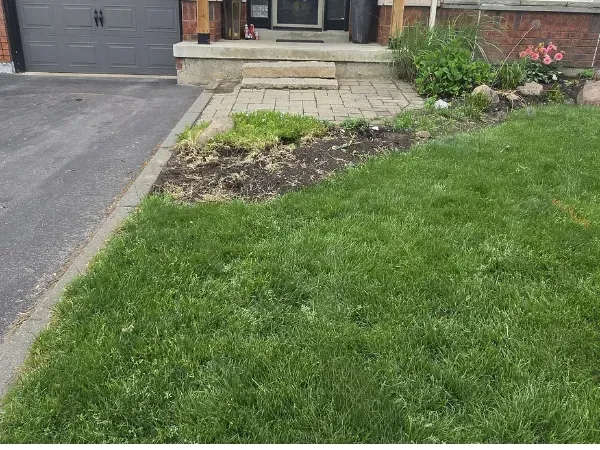 Cracked concrete front entrance and outdated walkway before professional stone renovation by Big G Landscapes
