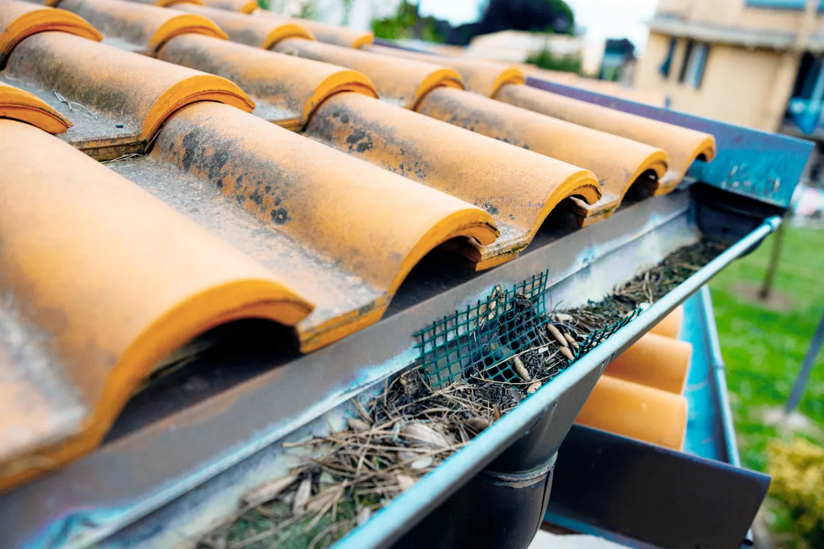 5 Hidden Problems Clogged Gutters Can Cause
